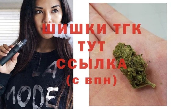 ECSTASY Богданович