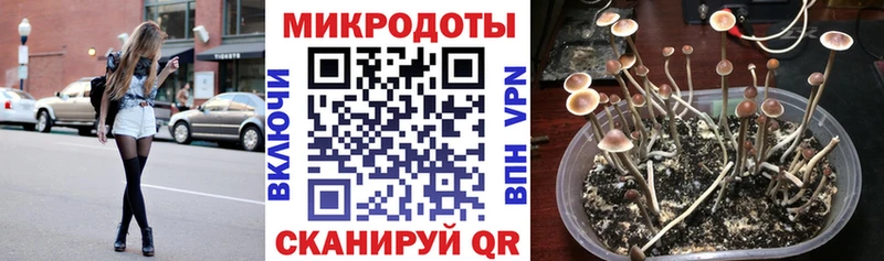Галлюциногенные грибы ЛСД  Белово 